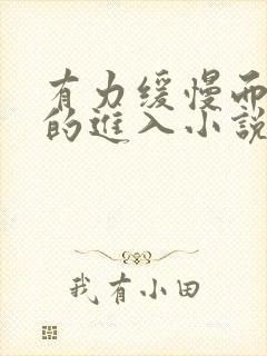 有力缓慢而坚定的进入小说