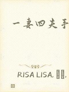 一妻四夫手记封面