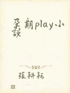 孕期play小说