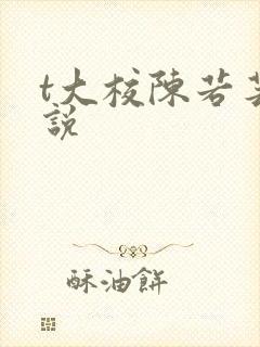 t大校陈若芸小说