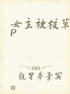 女主被校草们NP