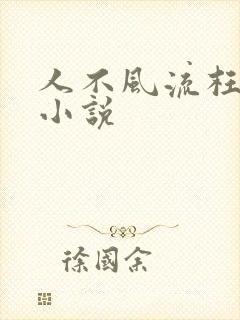 人不风流枉少年小说