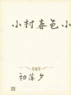 小村春色小说