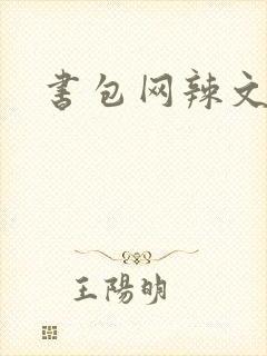 书包网辣文合集封面