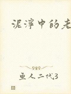 泥泞中的老虎封面