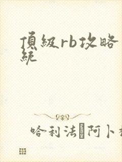 顶级rb攻略系统