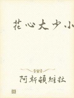 花心大少小说