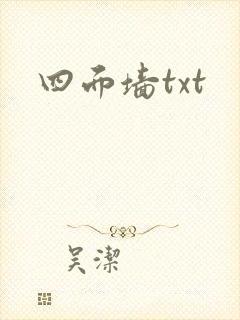 四面墙txt