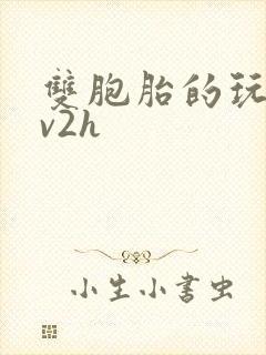 双胞胎的玩具1v2h