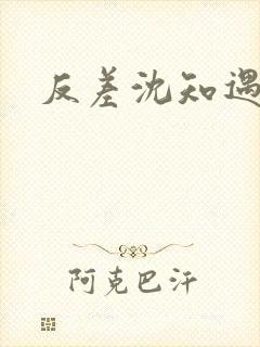 反差沈知遇晏应封面