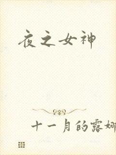 夜之女神封面