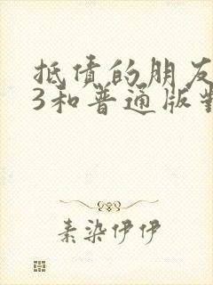 抵债的朋友麦子3和普通版对比