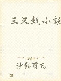 三叉戟小说