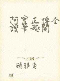 阿宾正传全文阅读笔趣阁封面