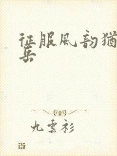 征服风韵犹存的岳封面