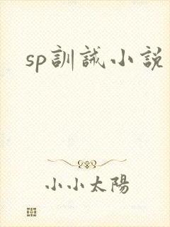 sp训诫小说