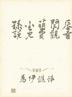 孙小萌闫辰的小说免费观看封面