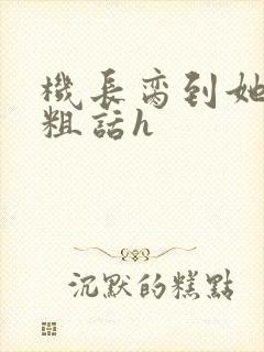 机长脔到她哭h粗话h封面