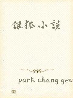 银狐小说