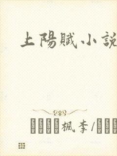 上阳赋小说封面