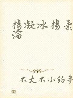 杨凝冰杨素宁沉沦封面