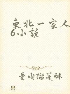 东北一家人1一6小说