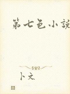 第七色小说封面