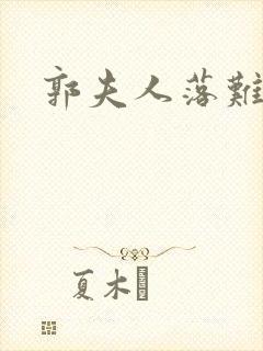 郭夫人落难封面