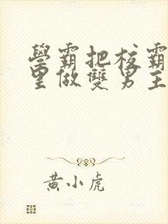 学霸把校霸往死里做双男主车封面