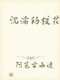 沉沦的校花封面