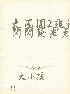 大团圆2亲情会闪闪发光免费