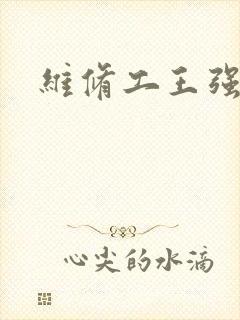 维修工王强张婷封面