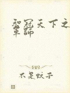 智冠天下之风流军师封面