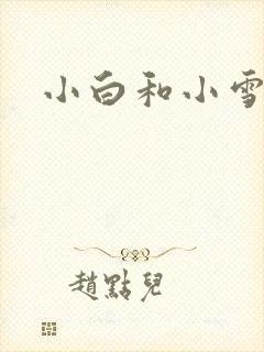 小白和小雪