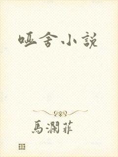 哑舍小说封面