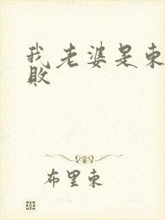 我老婆是东方不败封面