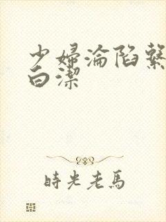 少妇沦陷系列之白洁封面