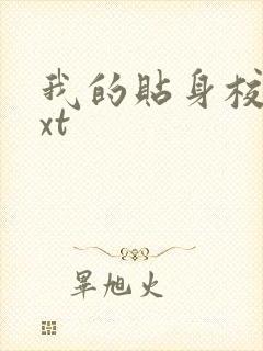 我的贴身校花txt