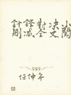 针锋对决小说未删减全文阅读