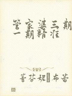 管家婆三期必开一期精准