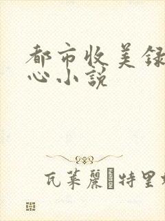 都市收美录宁素心小说