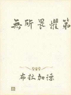 无所畏惧第二部封面