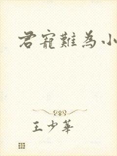 君宠难为小说封面