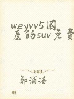 weyvv5国产的suv免费