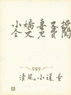 小娇妻又撩又甜全文免费阅读