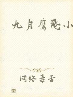 九月鹰飞小说封面