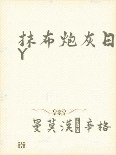 抹布炮灰日记BY封面