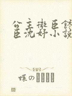 公主微臣馋了微臣沈妤小说