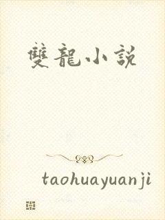 双龙小说