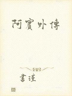 阿宾外传